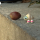 Marcel the Shell standing next to a nut.